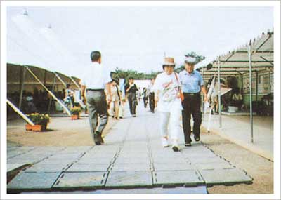 樹脂ステップ 500F ED-208